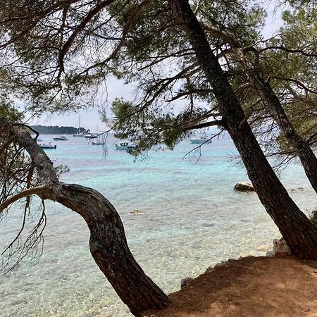 Appartement Centre Croisette Emplacement Exceptionnel Cannes Kültér fotó