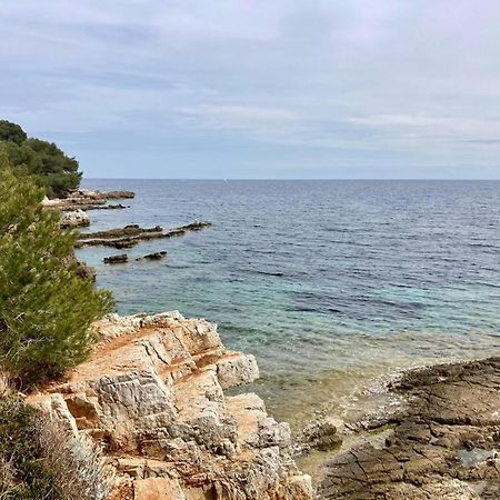 Appartement Centre Croisette Emplacement Exceptionnel Cannes Kültér fotó