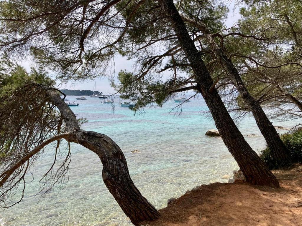 Appartement Centre Croisette Emplacement Exceptionnel Cannes Kültér fotó
