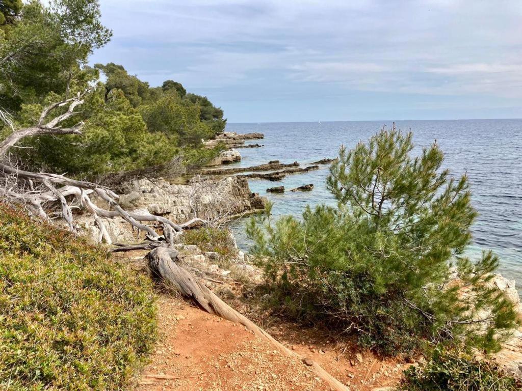 Appartement Centre Croisette Emplacement Exceptionnel Cannes Kültér fotó