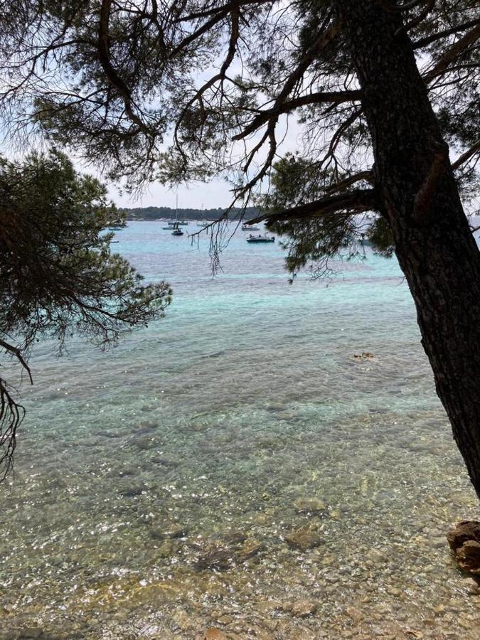Appartement Centre Croisette Emplacement Exceptionnel Cannes Kültér fotó