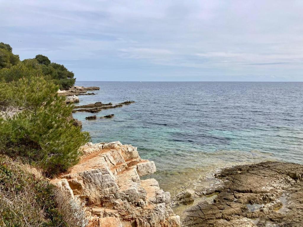 Appartement Centre Croisette Emplacement Exceptionnel Cannes Kültér fotó